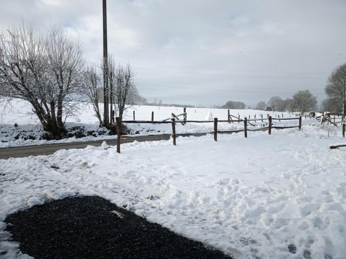 Le Cheval Ardennais